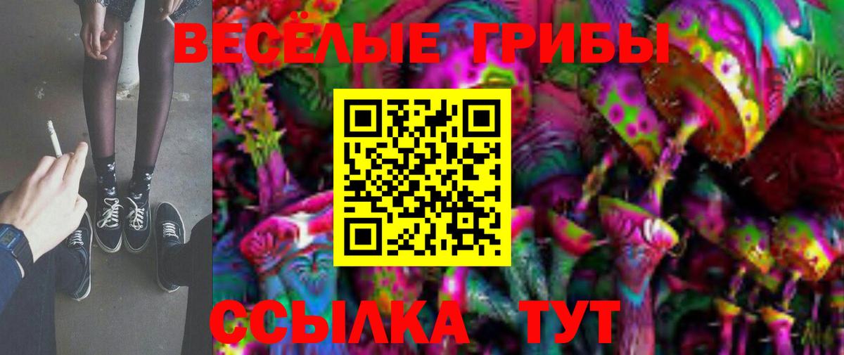 Псилоцибиновые грибы MAGIC MUSHROOMS  Вход с VPN  Гусиноозёрск  Галлюциногенные грибы мухоморы 